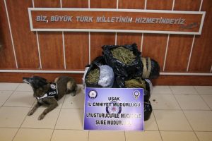 Uşak'ta 49 kilo 800 gram esrar yakalandı