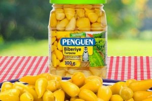 Penguen Gıda'ya kayıtlı &uuml;retici sayısı 10 bine &ccedil;ıktı