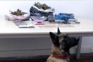 Otomobilde uyuşturucu ve sikke ile yakalanan 4 kişiye g&ouml;zaltı