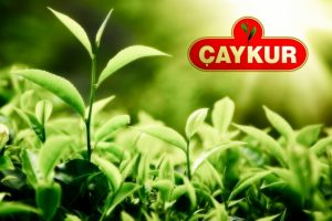 &Ccedil;aykur bin 500 mevsimlik iş&ccedil;i alacak