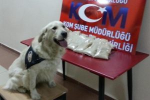 Ekmek arası eroine '&Ccedil;apkın' ge&ccedil;it vermedi