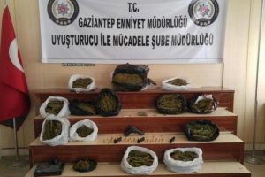&Uuml;lke genelinde zehir tacirlerine şafak baskını: 414 g&ouml;zaltı