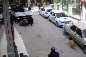 Polis-torbacı kovalamacası kamerada