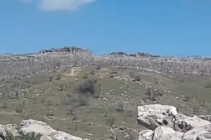 Tuzaklanan mayını &ccedil;oban fark etti