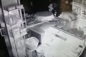Aynı gecede 4 ayrı iş yerine girdiler