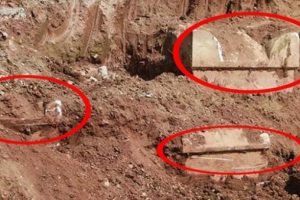İnşaat kazısını durduran olay! Mezarlar bulundu
