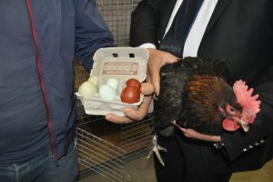 Bursa'da rengarenk yumurtalara ilgi b&uuml;y&uuml;k