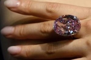 'Pembe Yıldız' rekor fiyata yeni sahibini buldu