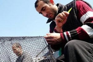 Balık&ccedil;ıların son umudu 'istavrit'