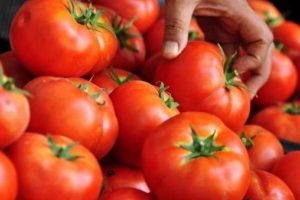 Rusya'dan tartışma yaratacak 'T&uuml;rk domatesi' a&ccedil;ıklaması