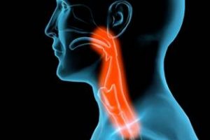 Ağız kanserinin bilinmeyen y&ouml;n&uuml; HPV16 nedir?