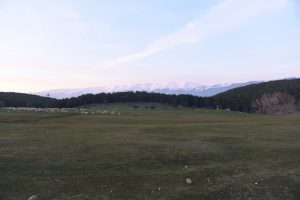 Bursa Kocayayla'da yayla turizmi atağı