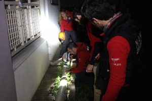 Bursa'da su borusuna sıkışan yavru kediler kurtarıldı