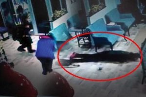 Spor salonunda infaz kamerada