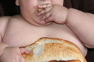 TBV Başkanı: 'T&uuml;rkiye'de 3 milyon obez var'