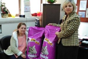 Bursa'da kadınların kavgası, sokak kedilerine yaradı
