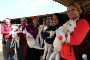 45 kadın '&ccedil;obanlık eğitimi' alıyor