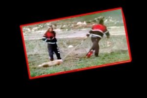 Vicdansızların işine son verildi: Bu kare tepki &ccedil;ekmişti