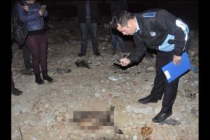 &Ouml;zel arazide kesilmiş at ve eşek kafaları bulundu