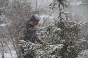 Ardahan'da kar yağışı etkili oldu