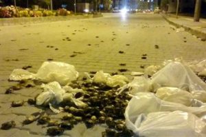 Sokak ortasında şaşırtan g&ouml;r&uuml;nt&uuml;! Yenge&ccedil;ler yola sa&ccedil;ıldı