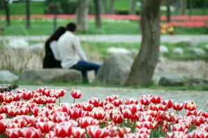 Bursa'da bug&uuml;n ve yarın (hafta sonu) hava durumu nasıl olacak? (14 Nisan 2017 Cuma)