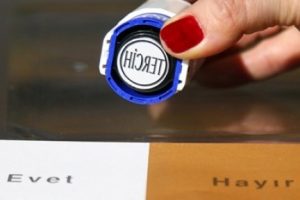 Referandumda en &ccedil;ok hayır oyu veren 10 il