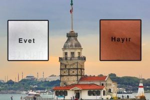 İstanbul'da referandum sonu&ccedil;larında s&uuml;rpriz yaratan il&ccedil;eler...
