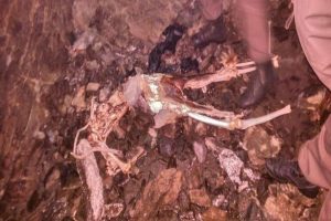 Marmaris'te kıyıya vurmuş ceset bulundu