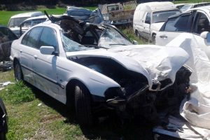 Atın kazada kopan kafası s&uuml;r&uuml;c&uuml;y&uuml; &ouml;ld&uuml;rd&uuml;!