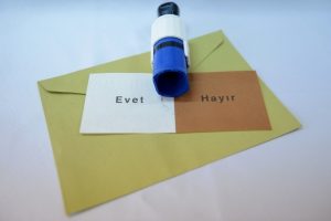 Rus uzman: T&uuml;rkiye'deki referandum sonu&ccedil;ları meşru