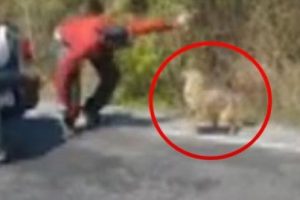 İstanbul'da gen&ccedil;lerin &ccedil;akalla oyunu k&ouml;t&uuml; bitti