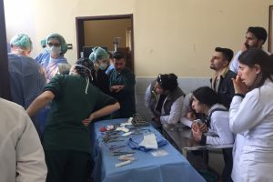 Bursa'da İngiliz yarış atına başarılı operasyon