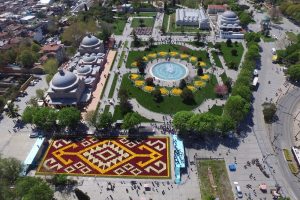 Canlı lale halısı Sultanahmet Meydanı'nda
