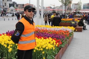 Taksim Meydanı'ndaki laleler koruma altında