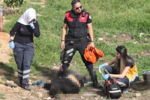 Şanlıurfa'da k&ouml;pek i&ccedil;in silahlı kavga: 2 &ouml;l&uuml;, 5 yaralı