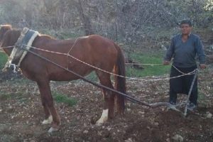 Temizlik g&ouml;revlisi, boğazı kesilerek &ouml;ld&uuml;r&uuml;ld&uuml;