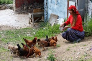 Podyumların yıldızıydı şimdi koyun otlatıp tavuk besliyor