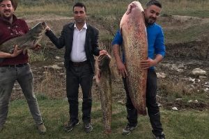 Boyundan b&uuml;y&uuml;k balık yakaladı