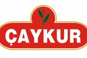 Varlık Fonundan '&Ccedil;aykur' a&ccedil;ıklaması