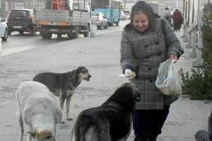 Sokak k&ouml;peklerine poşetlerle yiyecek taşıyan kadının sitemi