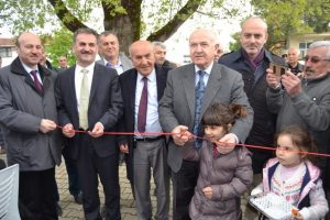 K&uuml;lliye'nin zeytinleri Bursa Gemlik'ten