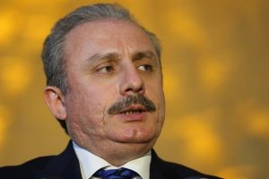 TBMM Anayasa Komisyonu Başkanı Şentop'dan uyum yasaları değerlendirmesi