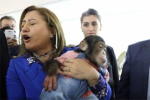 Gaziantep B&uuml;y&uuml;kşehir Belediye Başkanı Şahin'in zor anları
