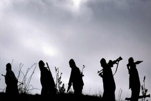 PKK y&ouml;neticisi Kulp kırsalında yakalandı