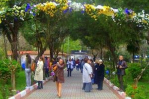 &Ouml;nce festival, şimdi pilav g&uuml;n&uuml; yasaklandı