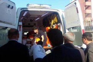 Eşeğin ısırdığı 3 &ccedil;ocuk hastanelik oldu