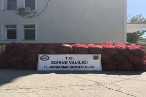 Edirne'de 80 bin TL'lik ka&ccedil;ak midye ele ge&ccedil;irildi