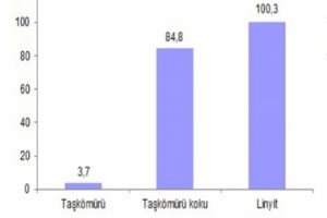En fazla &uuml;retim ve teslimat linyitte ger&ccedil;ekleşti