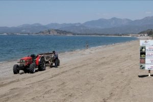 Caretta carettaların yumurta bıraktığı kumsal temizlendi